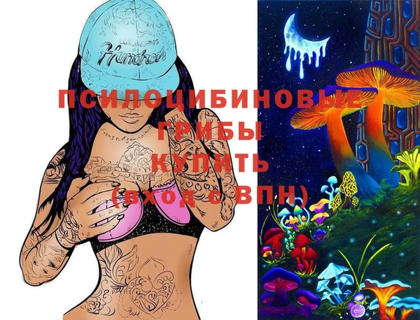 ПСИЛОЦИБИНОВЫЕ ГРИБЫ Балабаново
