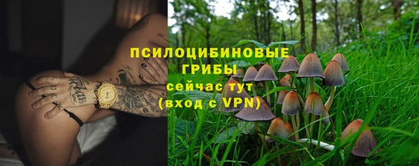 гидропоника Балахна