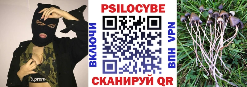 Псилоцибиновые грибы ЛСД  mega ССЫЛКА  Гудермес 