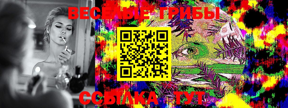 магазин  наркотиков  Гудермес  Галлюциногенные грибы ЛСД 