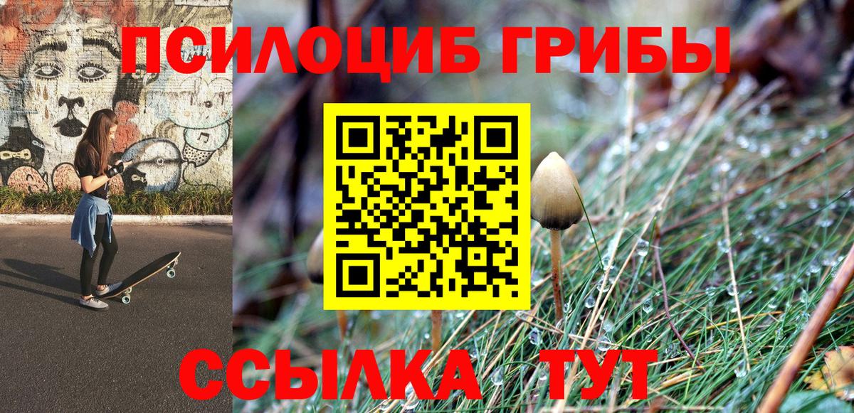 Псилоцибиновые грибы GOLDEN TEACHER Гудермес