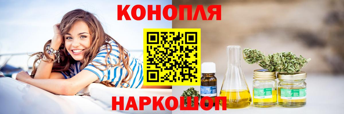 Конопля Гудермес